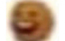 HTL Andorf Lehrer Ranking